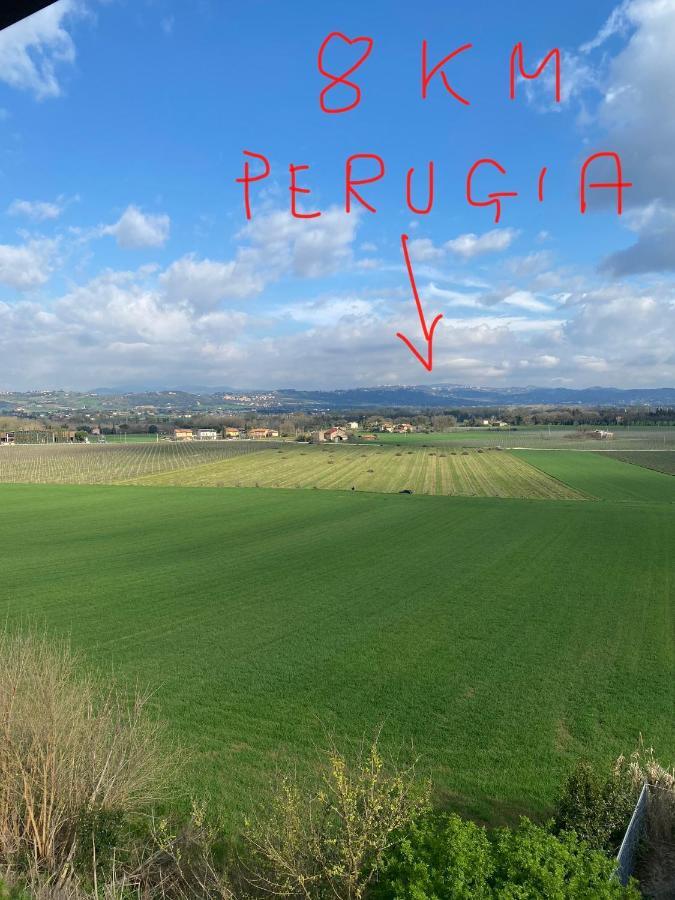 Appartamento A Torgiano Centro ภายนอก รูปภาพ
